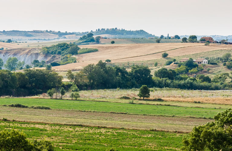 Agriturismo Riparossa